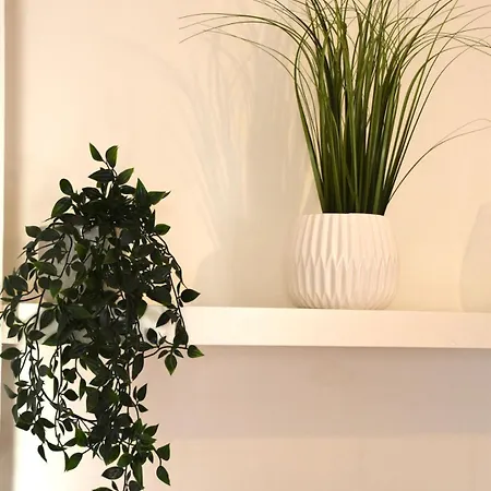 La Casina Del Sole Apartment Rome