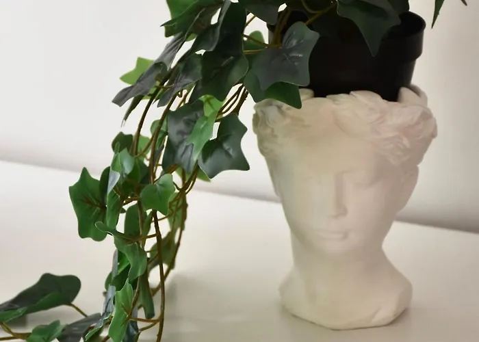 La Casina Del Sole Roma