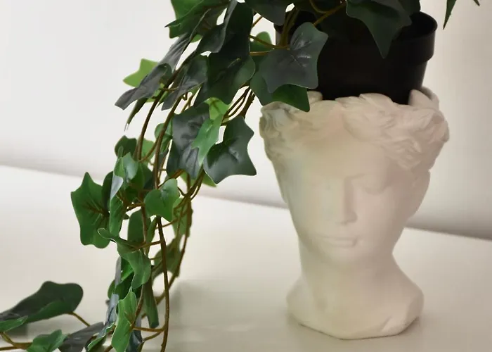 Apartamento La Casina Del Sole *